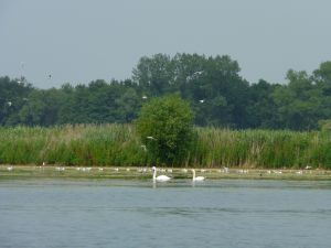 grosser_warder2