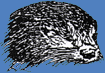 Fischotter Schleswig-Holstein