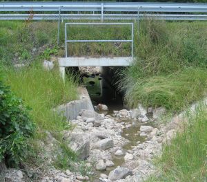 Ottertunnel Engelau