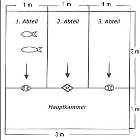 Reusengitter test